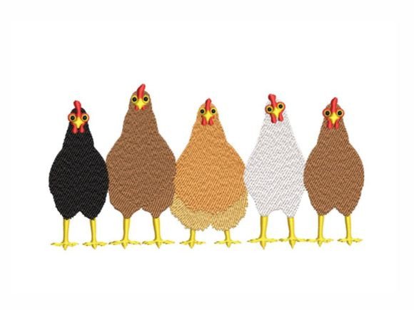 Chickens: A Designer’s Review for Boutique Sweatshirts