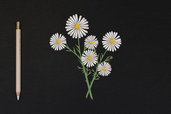 Flower Plant: A Designer’s Review for Craft Fair Success